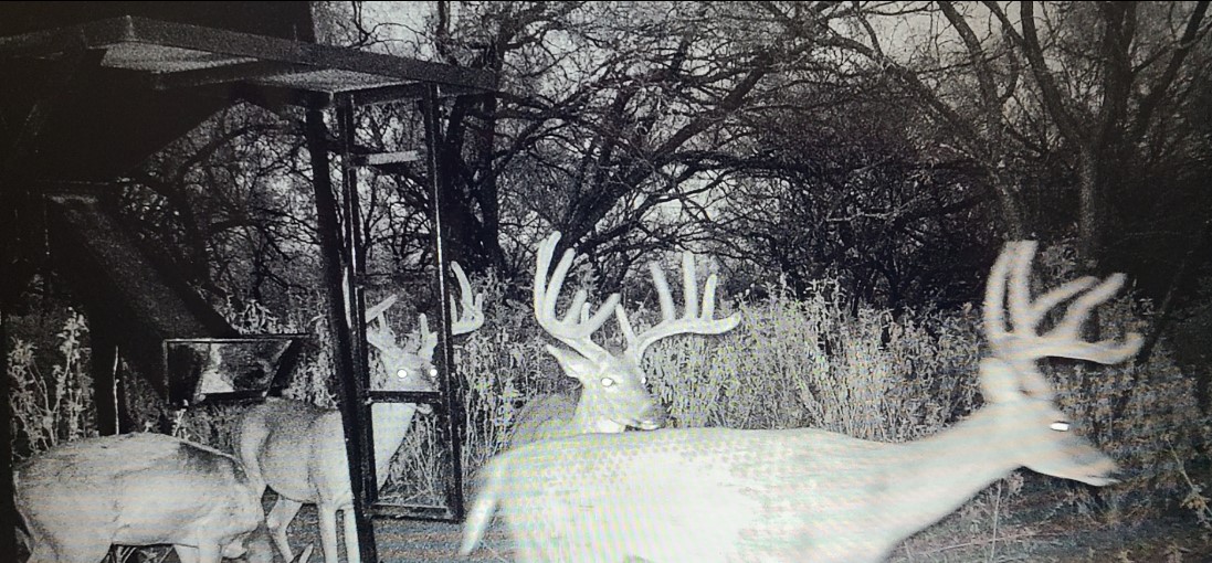 392 County Road 230 San Saba, TX 76877 - Photo 16 of 40