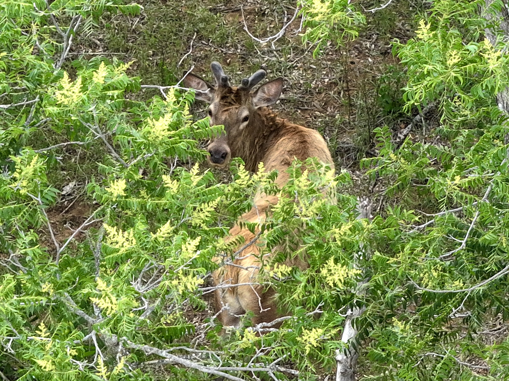 392 County Road 230 San Saba, TX 76877 - Photo 22 of 40 a map view of location