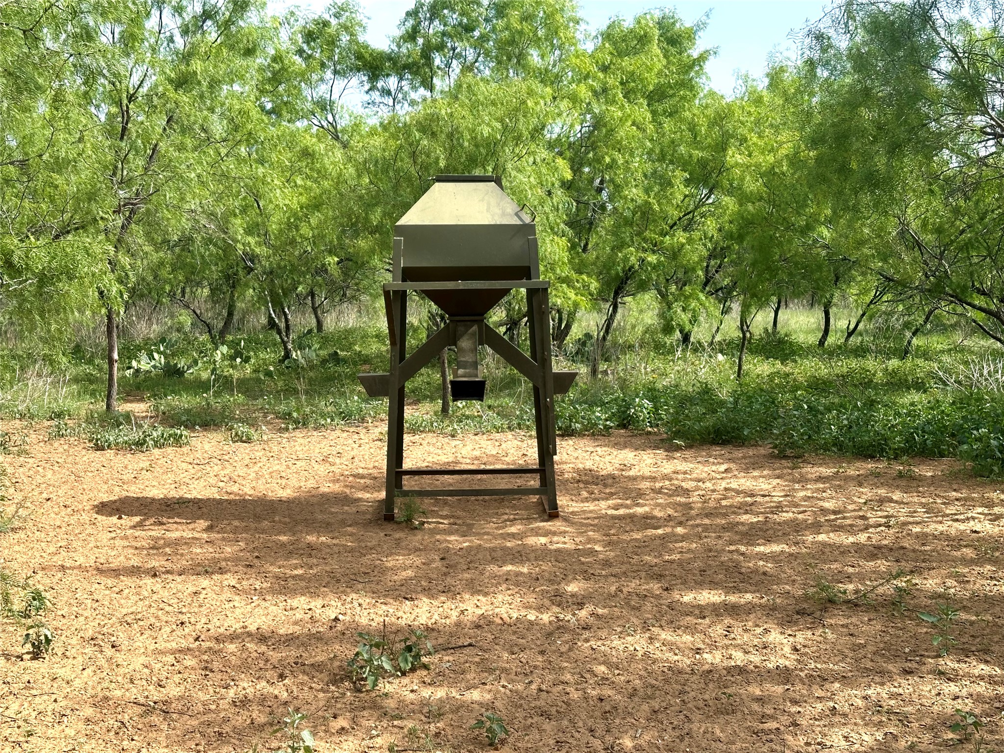 392 County Road 230 San Saba, TX 76877 - Photo 28 of 40 a view of a bench in a backyard