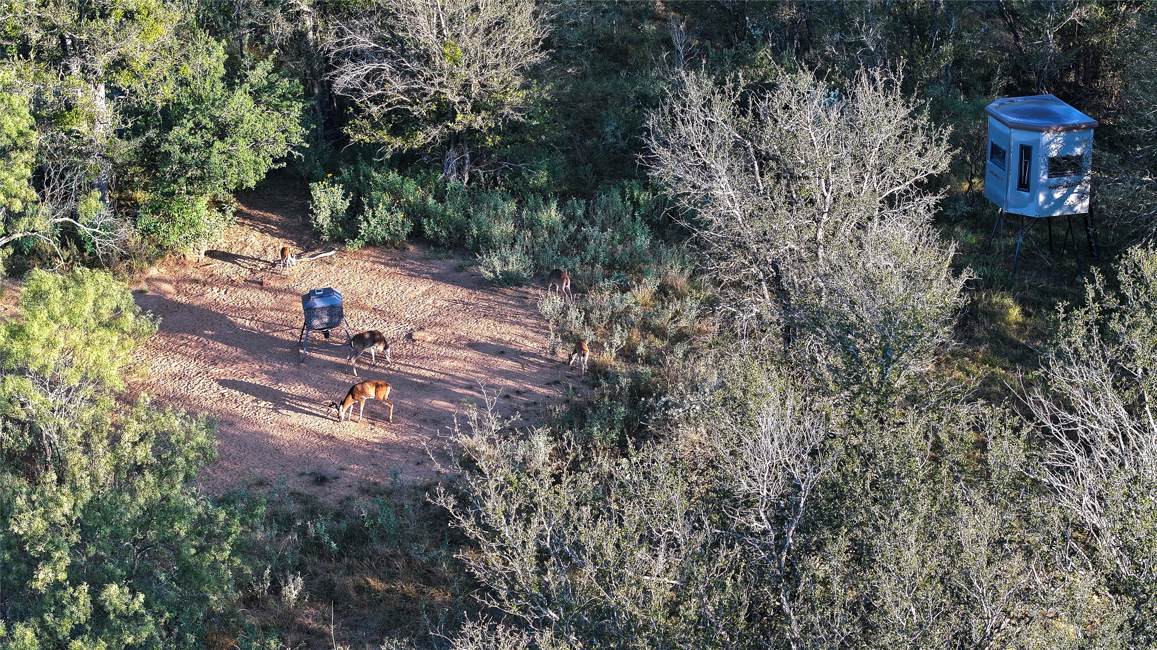 392 County Road 230 San Saba, TX 76877 - Photo 9 of 40 a view of a fire pit with plants and large trees