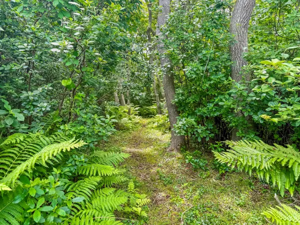 $1,150,000 | 0 Old Field Road, Aquinnah, MA 02535
