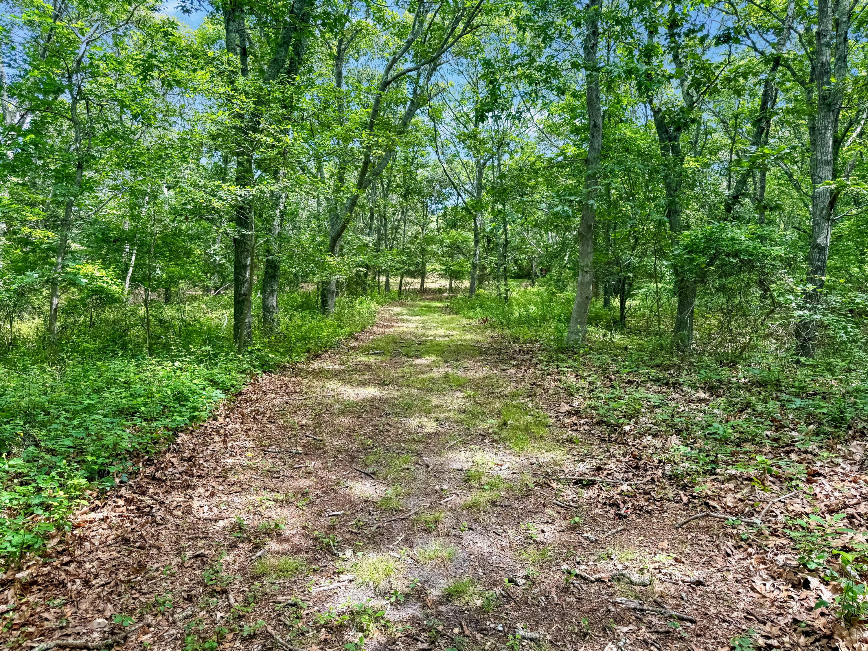 0 Old Field Road Aquinnah, MA 02535 - Photo 6 of 13 path