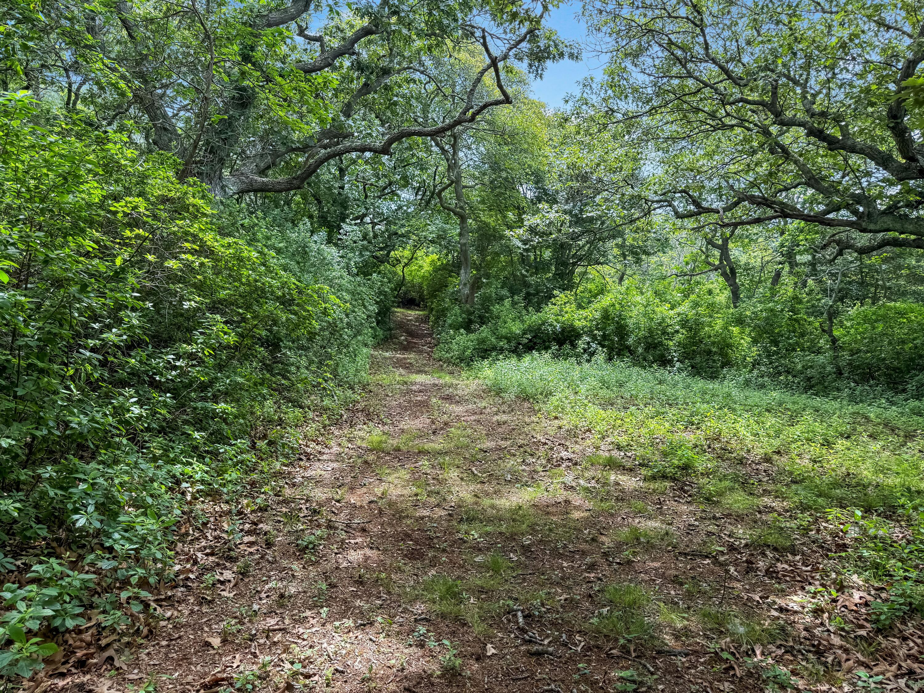 0 Old Field Road Aquinnah, MA 02535 - Photo 7 of 13 path 2