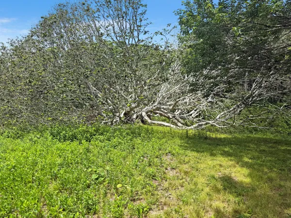 $1,150,000 | 0 Old Field Road, Aquinnah, MA 02535