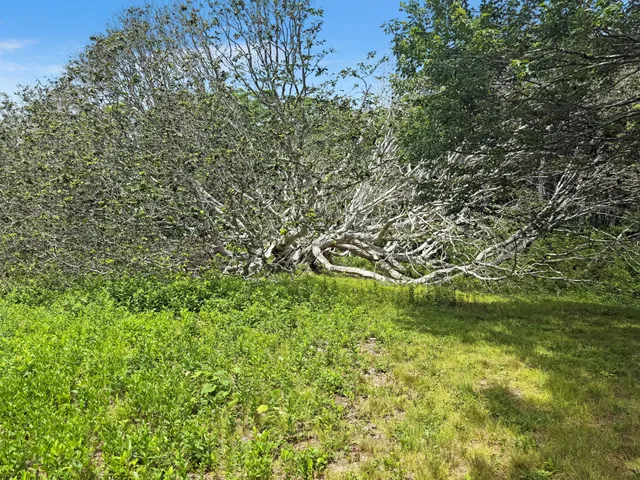 $1,150,000 | 0 Old Field Road, Aquinnah, MA 02535