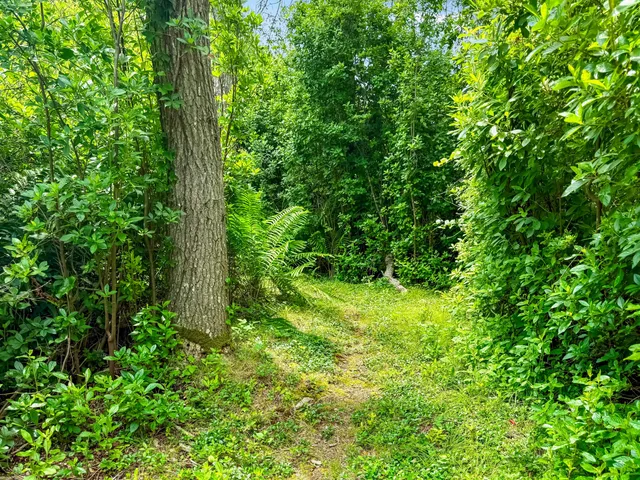 $1,150,000 | 0 Old Field Road, Aquinnah, MA 02535