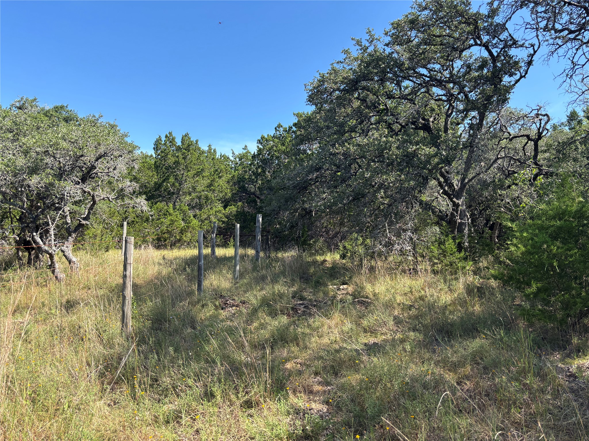 955 Upper Balcones Road Boerne, TX 78006 - Photo 4 of 9 Gallery Image 4