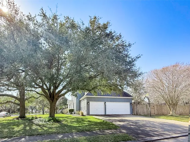 a view of a backyard with a tree