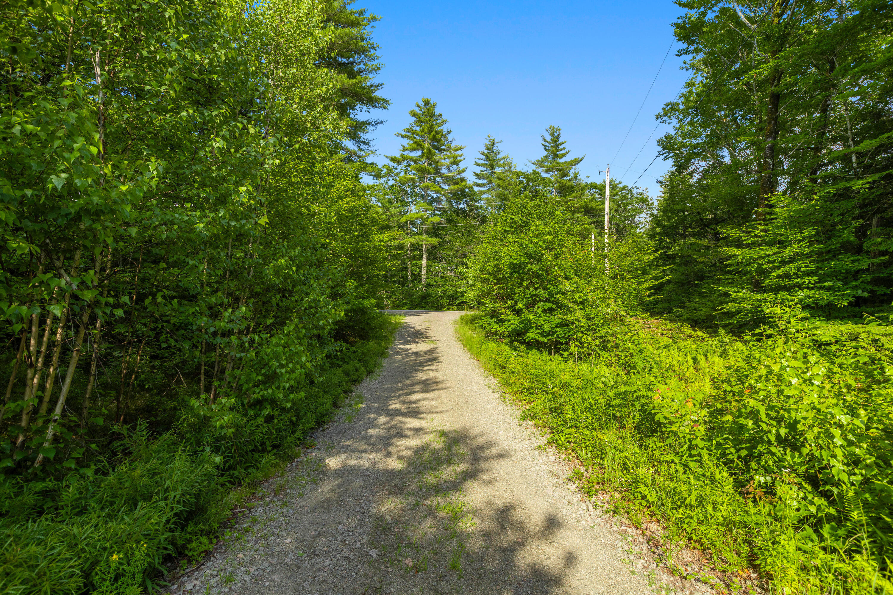 Map13-lot11 Field View Road Fryeburg, ME 04037 - Photo 9 of 49 ED2A6808 Tim Monahan (2)