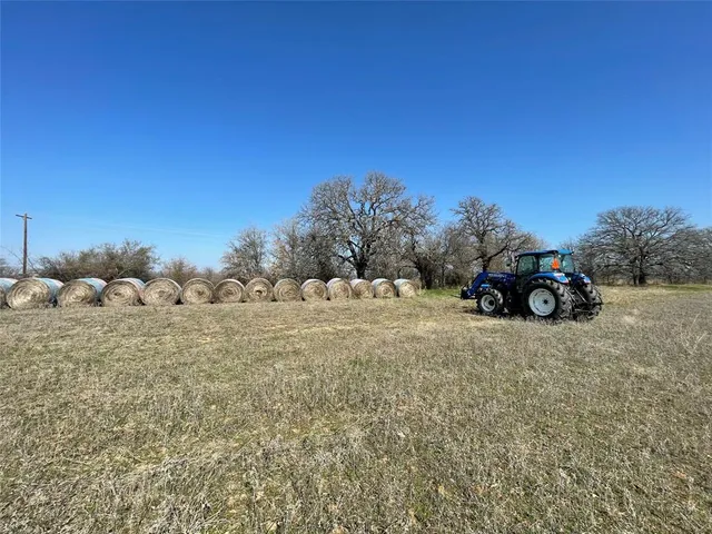 a view of a dry yard with trees
