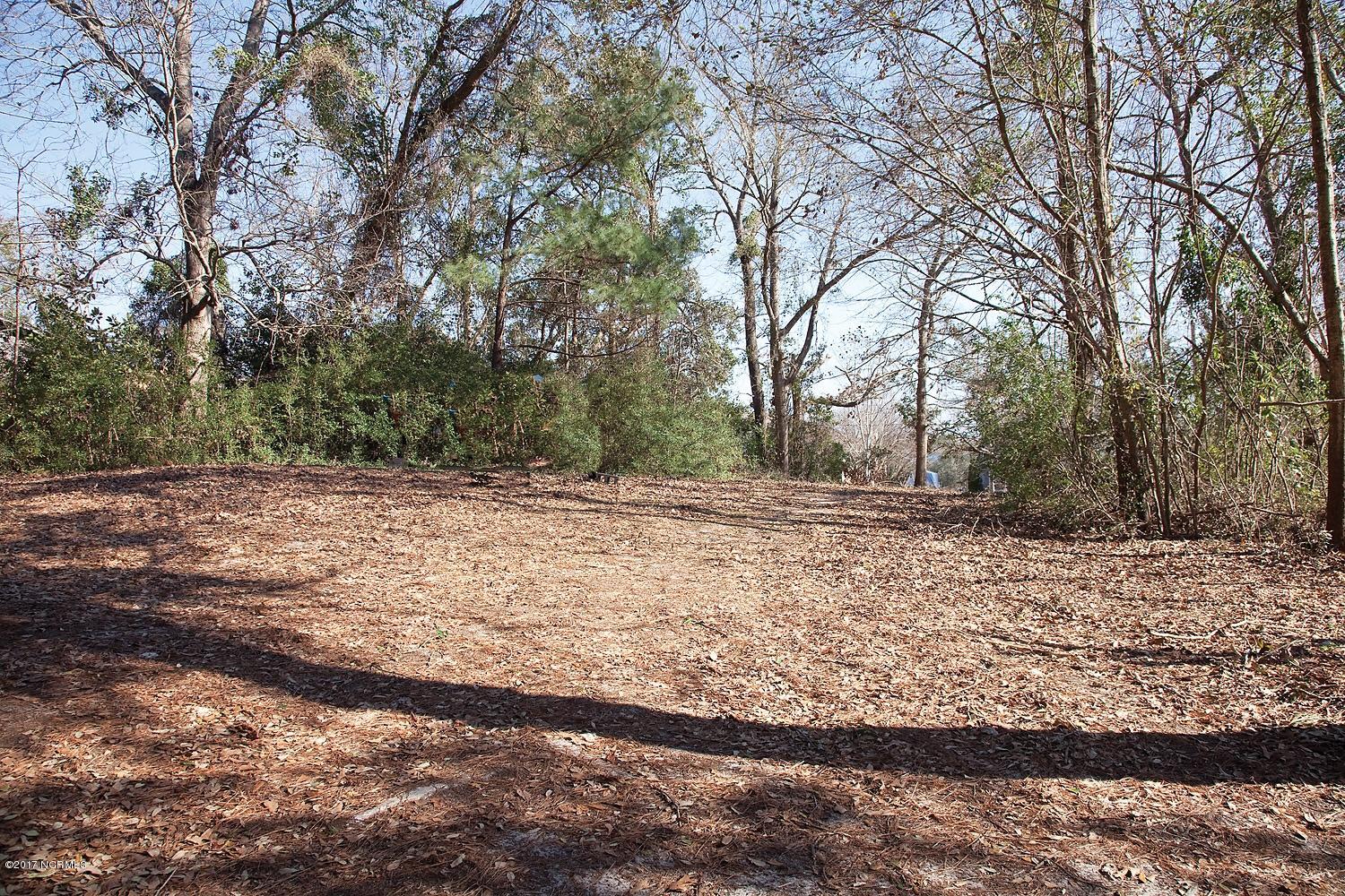 Lot 30 Hughes Road Hampstead, NC 28443 - Photo 1 of 6 image