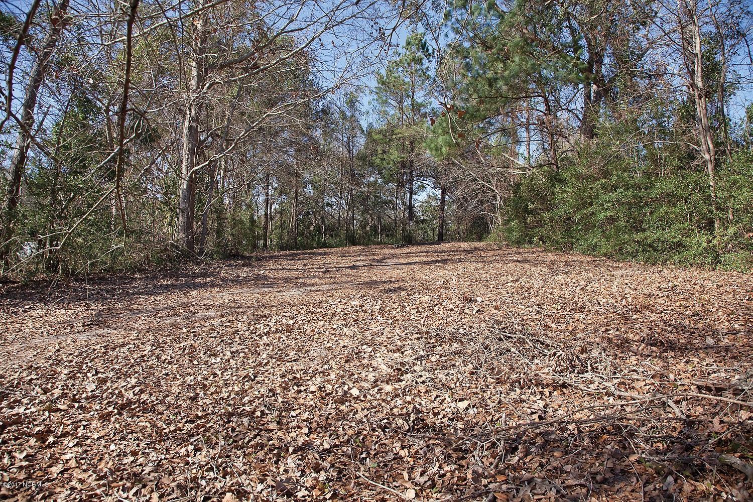 Lot 30 Hughes Road Hampstead, NC 28443 - Photo 4 of 6 image