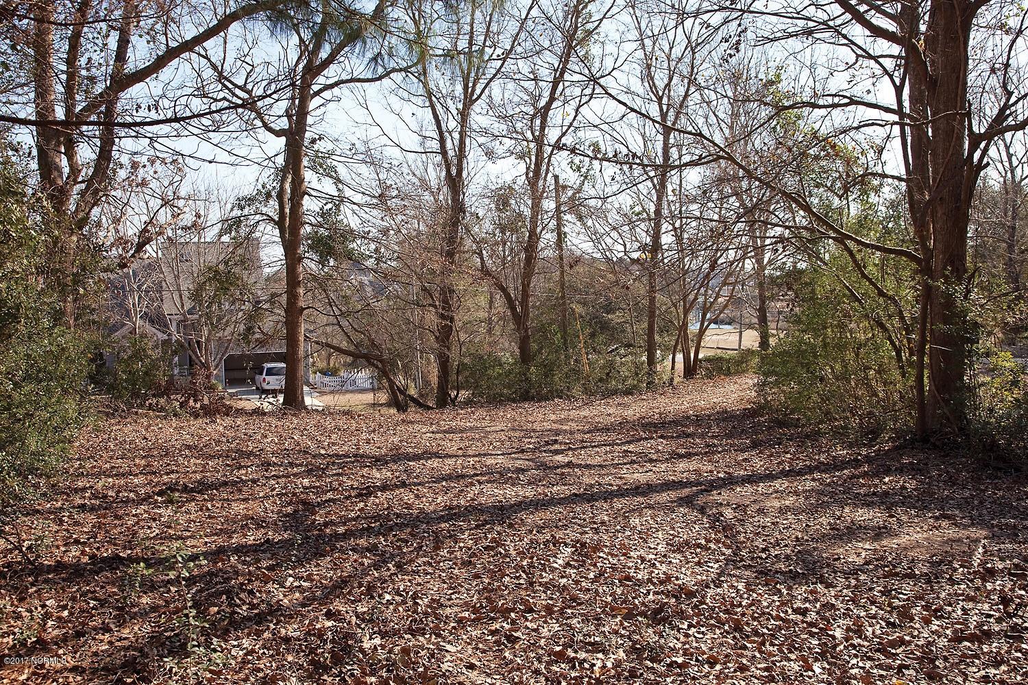 Lot 30 Hughes Road Hampstead, NC 28443 - Photo 5 of 6 image