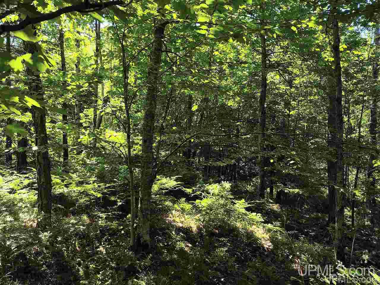 Tbd Tbd Indian Cemetery Road Lanse, MI 49946 - Photo 25 of 40