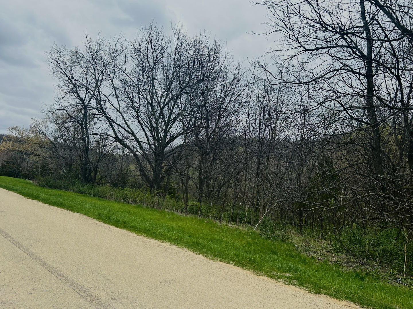 62 Heatherdowns Lane Galena, IL 61036 - Photo 2 of 4 a view of a street with a yard and a large tree