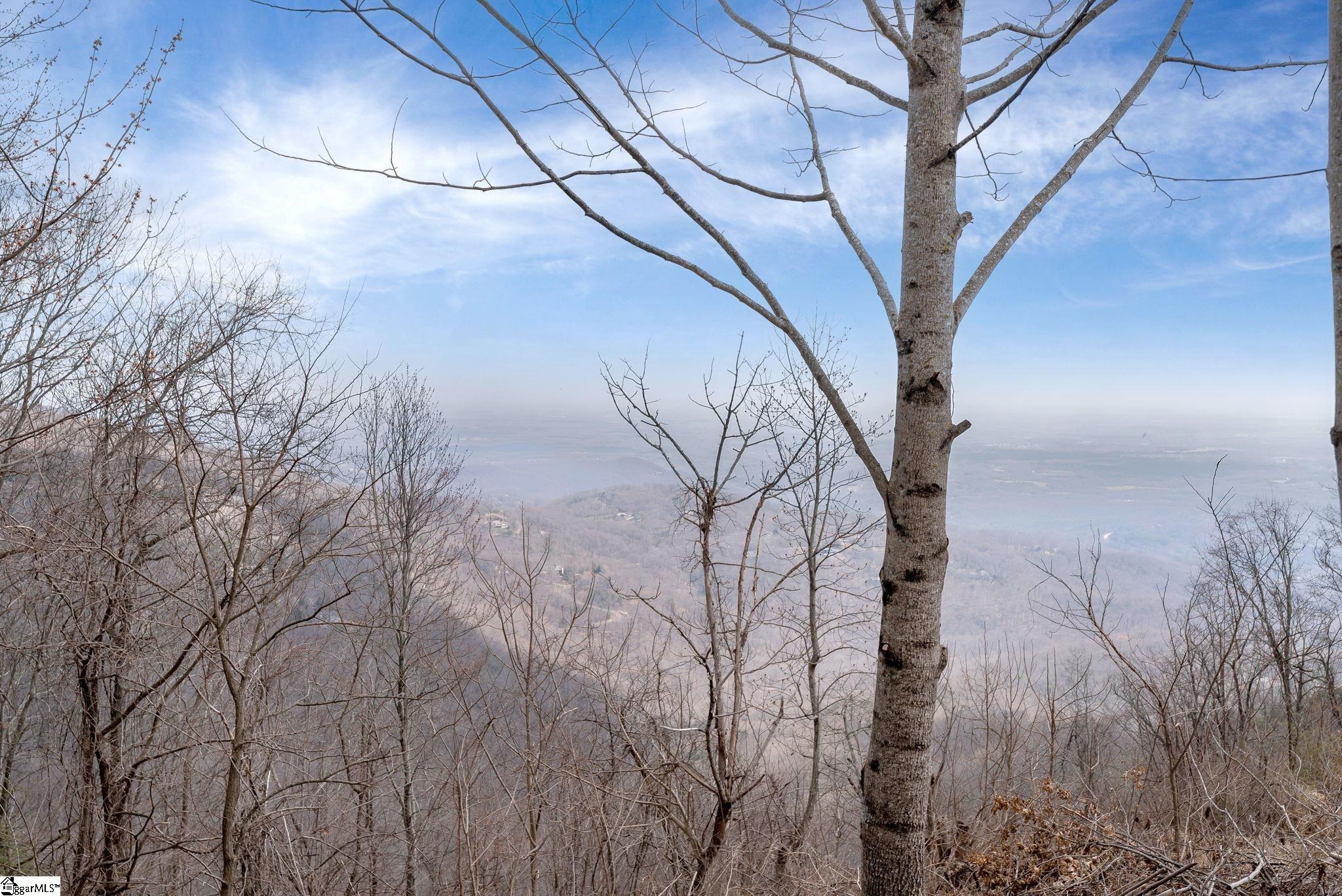 99 The Cliffs Parkway Landrum, SC 29356 - Photo 12 of 17