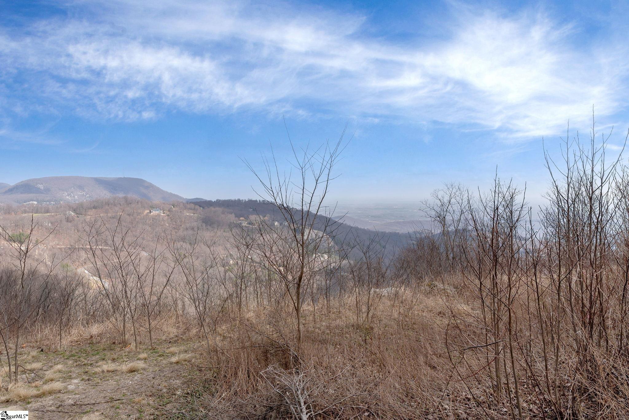 99 The Cliffs Parkway Landrum, SC 29356 - Photo 13 of 17