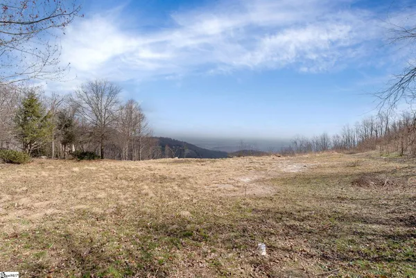 $2,500,000 | 99 The Cliffs Parkway, Landrum, SC 29356