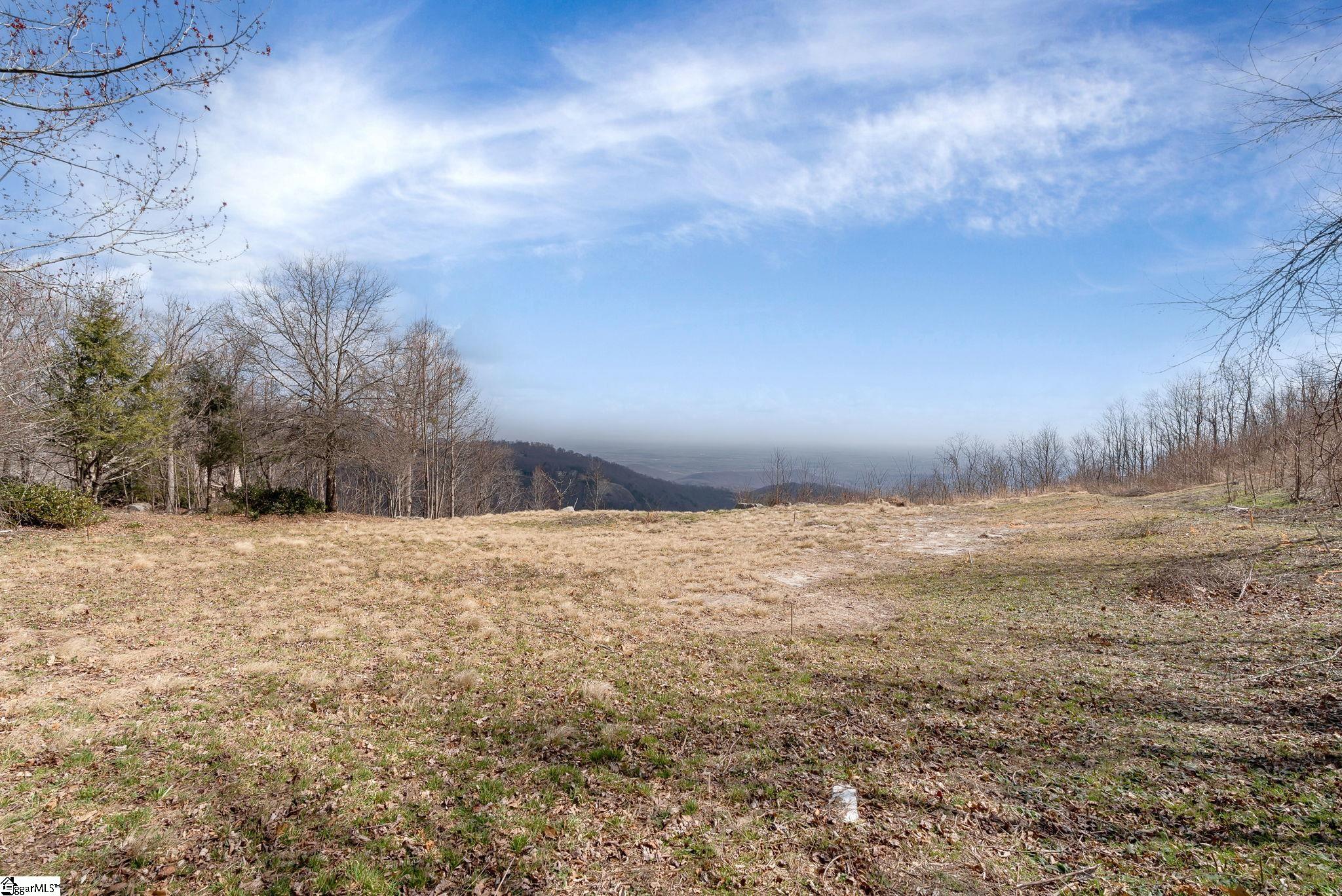 99 The Cliffs Parkway Landrum, SC 29356 - Photo 14 of 17