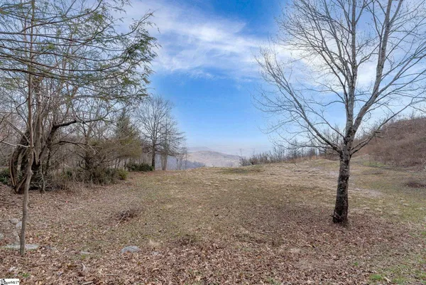 $2,500,000 | 99 The Cliffs Parkway, Landrum, SC 29356