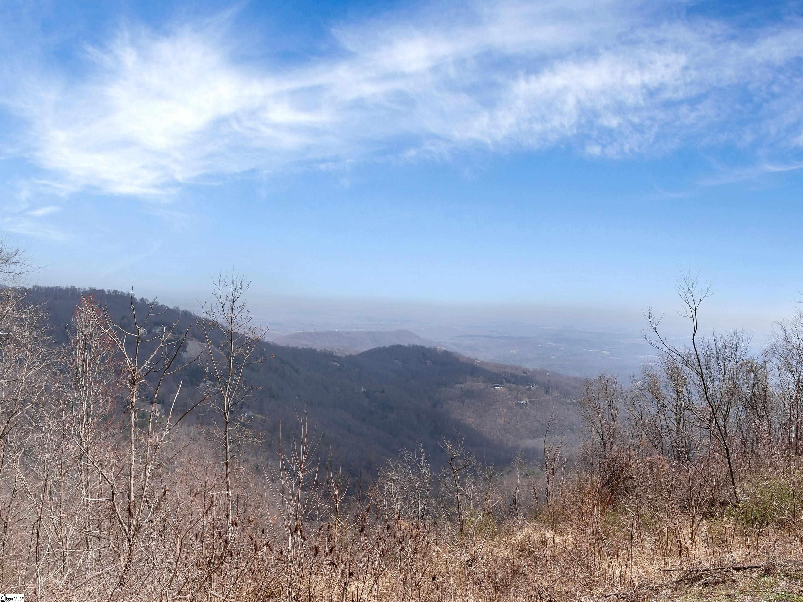 99 The Cliffs Parkway Landrum, SC 29356 - Photo 3 of 17