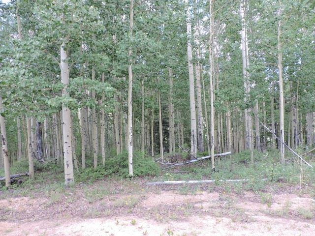 5838 Sheldon Road San Luis, CO 81152 - Photo 12 of 19 Gallery Image 12