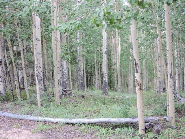 5838 Sheldon Road San Luis, CO 81152 - Photo 14 of 19 Gallery Image 14