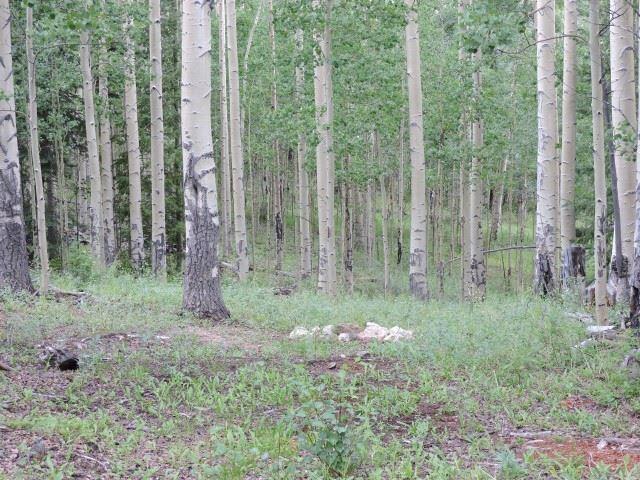 5838 Sheldon Road San Luis, CO 81152 - Photo 15 of 19 Gallery Image 15