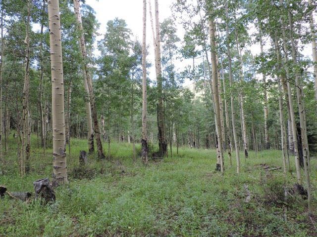 5838 Sheldon Road San Luis, CO 81152 - Photo 16 of 19 Gallery Image 16