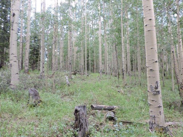 5838 Sheldon Road San Luis, CO 81152 - Photo 17 of 19 Gallery Image 17