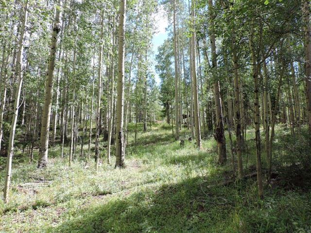 5838 Sheldon Road San Luis, CO 81152 - Photo 7 of 19 Gallery Image 7