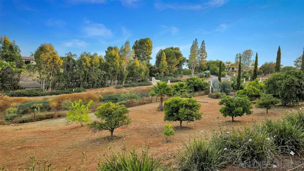 2723 Rich Lynn Ridge Road Escondido, CA 92025 - Photo 19 of 24 a view of a yard