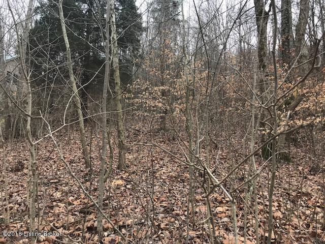 20 Tara Road Cub Run, KY 42729 - Photo 6 of 8 6