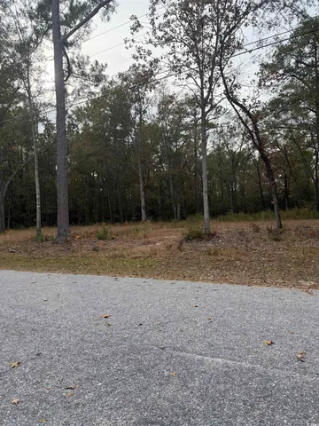 $24,800 | 335 Byrnes Circle, Johnsonville, SC 29555