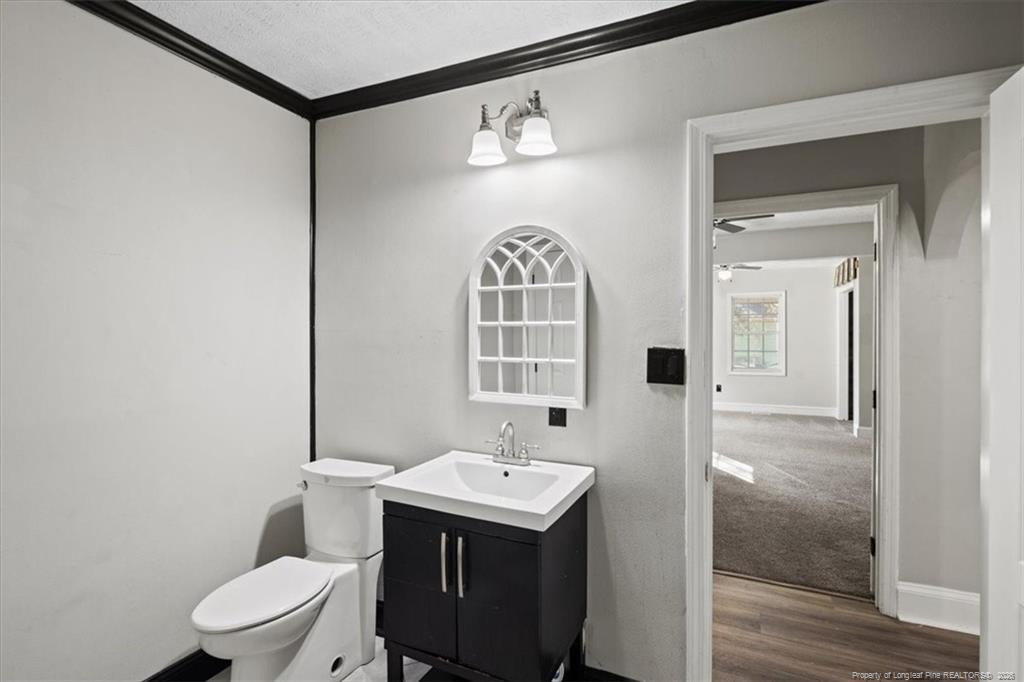 912 Main Street Raeford, NC 28376 - Photo 16 of 36 a bathroom with a sink a toilet and a mirror