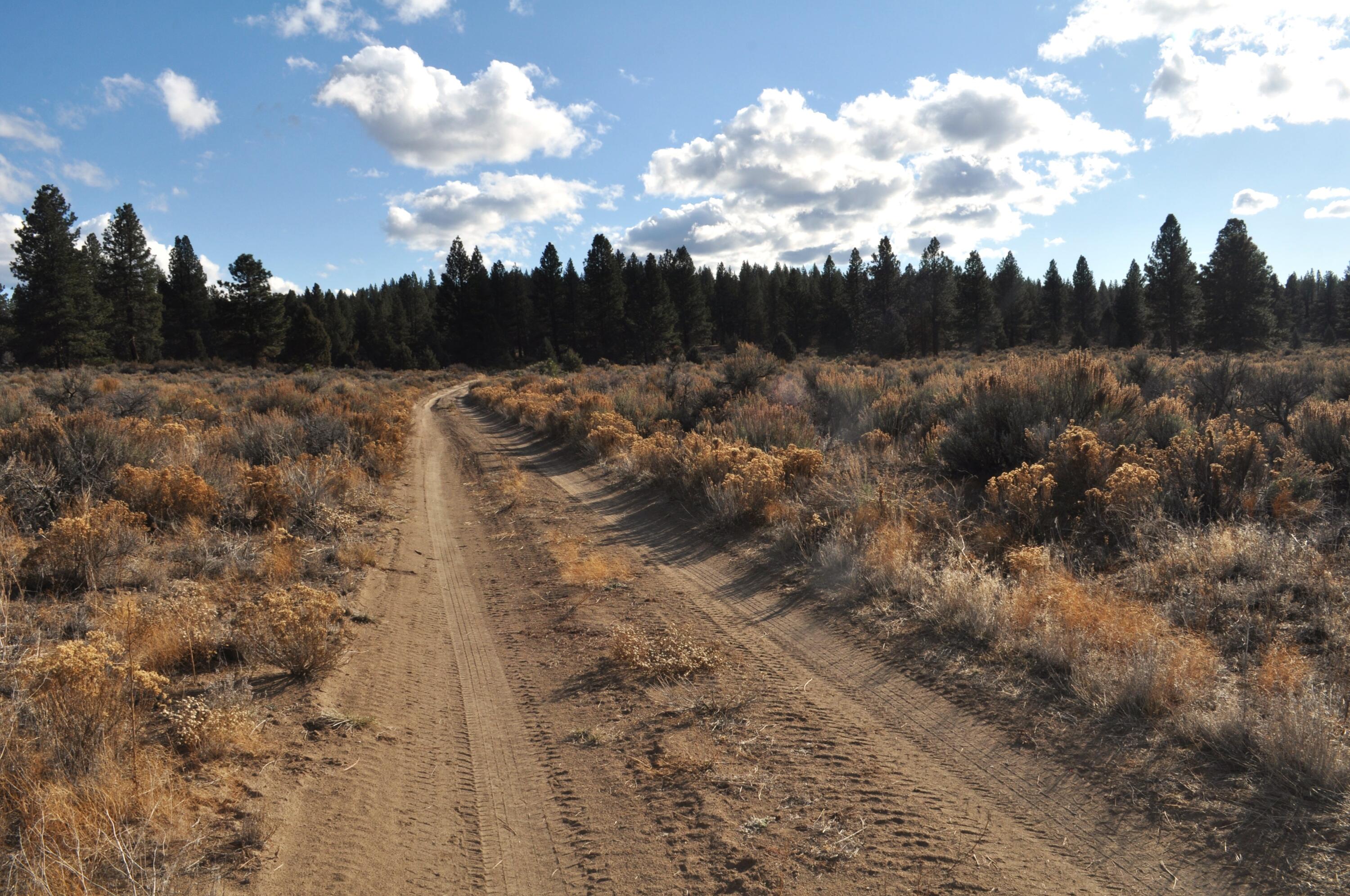 0 Tableland Road, Unit 1400 & 1500 Chiloquin, OR 97624 - Photo 10 of 16 South 4