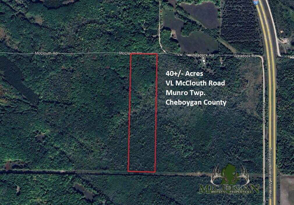 Vl Mcclouth Road Levering, MI 49755 - Photo 1 of 46 Aerial View