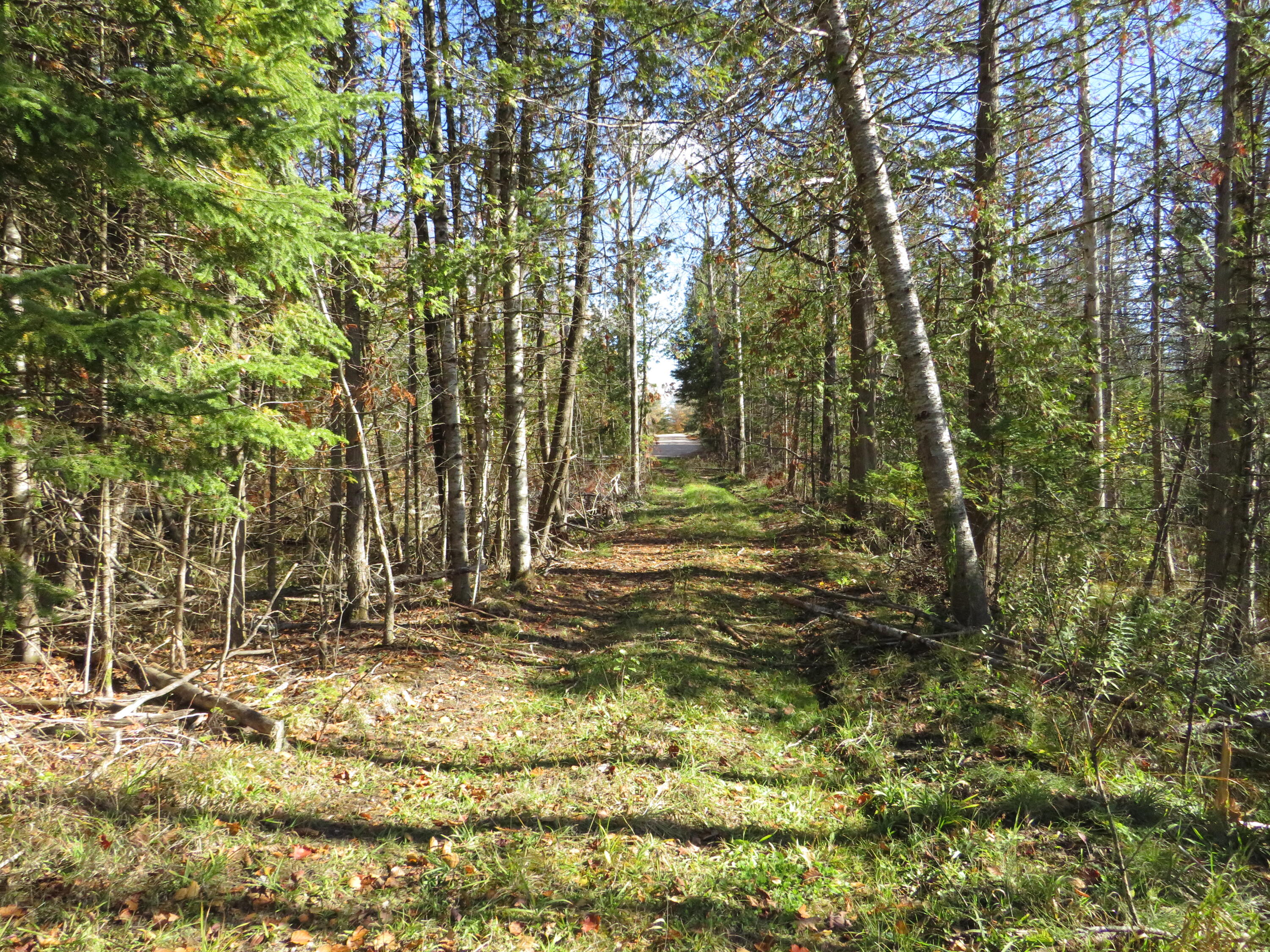 Vl Mcclouth Road Levering, MI 49755 - Photo 2 of 46 IMG_2343