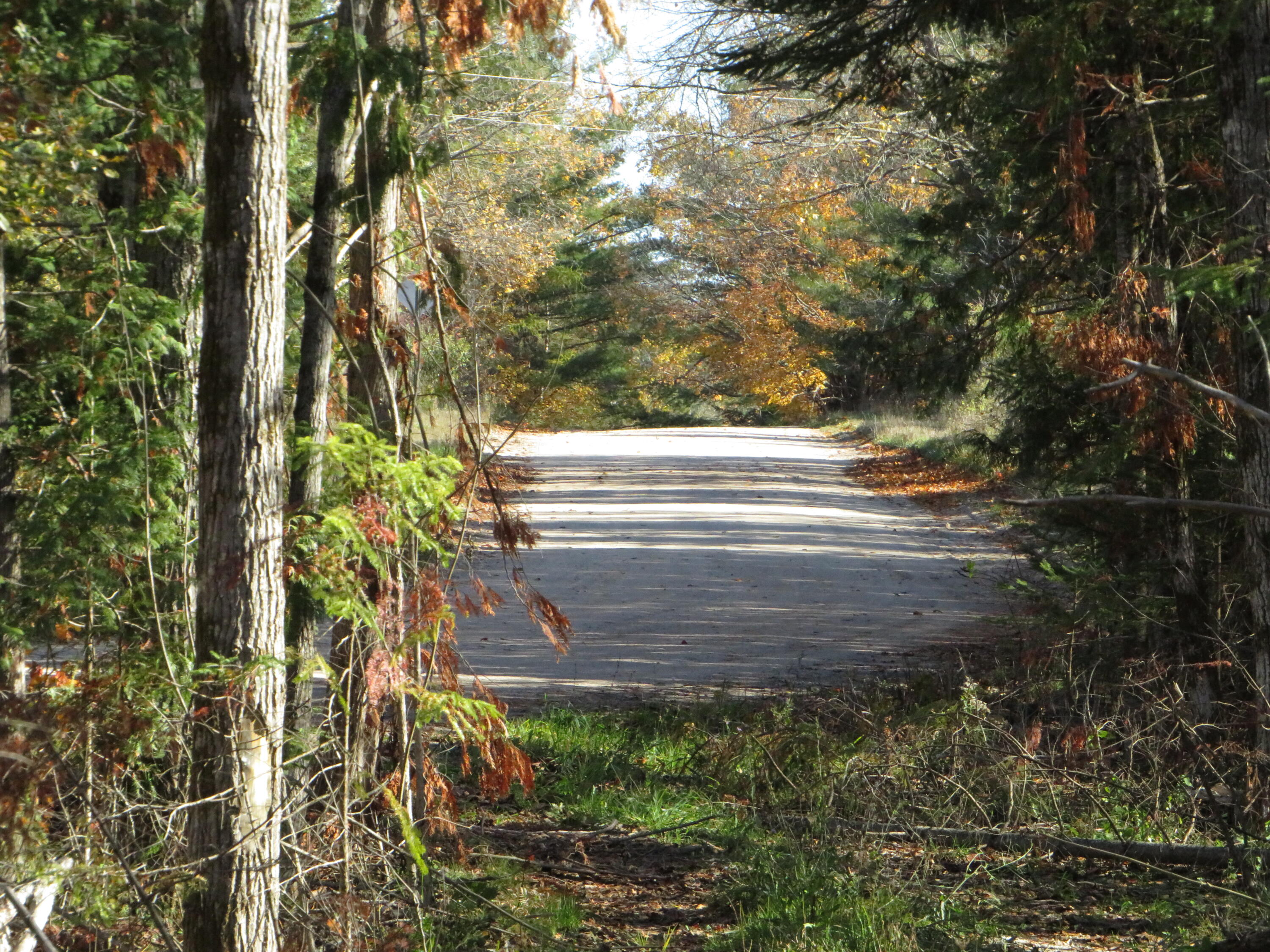 Vl Mcclouth Road Levering, MI 49755 - Photo 3 of 46 IMG_2346