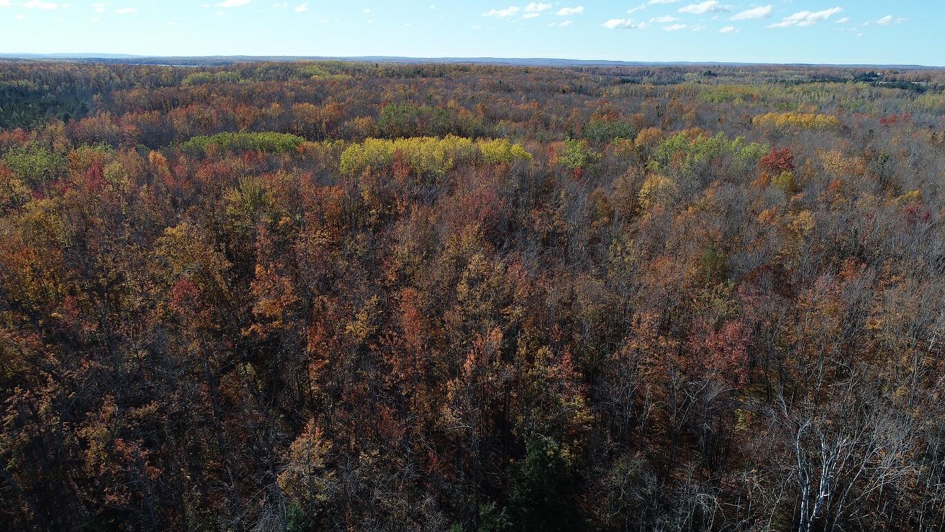 Vl Mcclouth Road Levering, MI 49755 - Photo 36 of 46 DJI_0269
