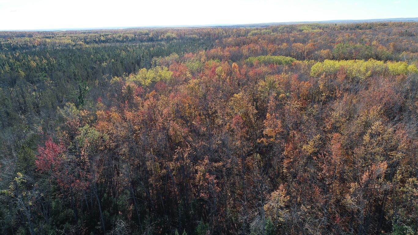 Vl Mcclouth Road Levering, MI 49755 - Photo 37 of 46 DJI_0271