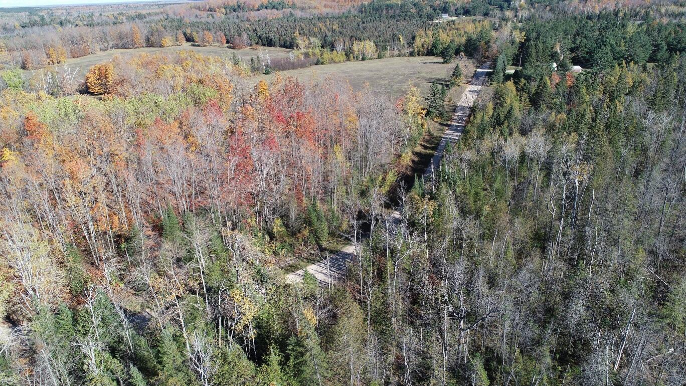 Vl Mcclouth Road Levering, MI 49755 - Photo 38 of 46 DJI_0273