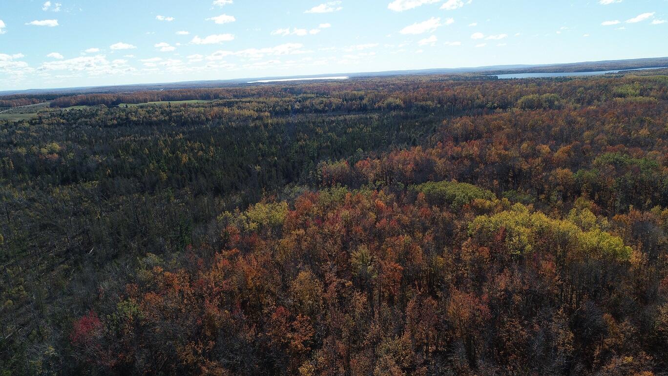 Vl Mcclouth Road Levering, MI 49755 - Photo 39 of 46 DJI_0275