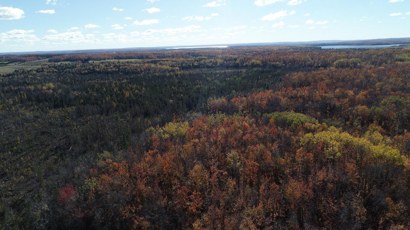 Vl Mcclouth Road Levering, MI 49755 - Photo 40 of 46 DJI_0276