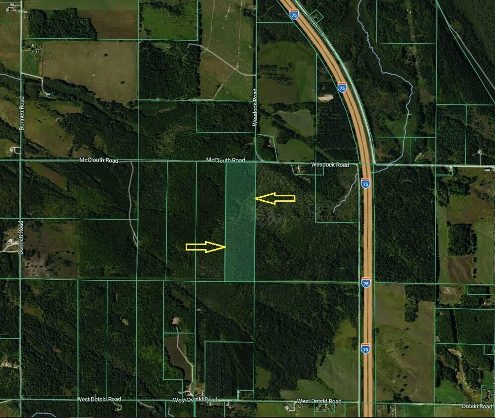 Vl Mcclouth Road Levering, MI 49755 - Photo 42 of 46 Aerial4