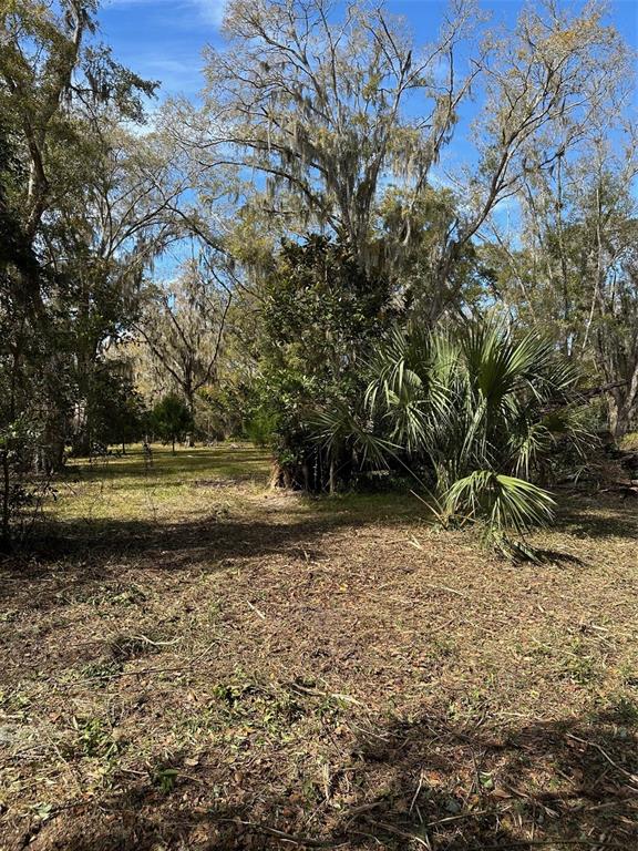 0 Yontz Road Brooksville, FL 34601 - Photo 3 of 5