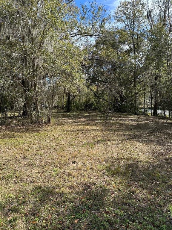 0 Yontz Road Brooksville, FL 34601 - Photo 4 of 5