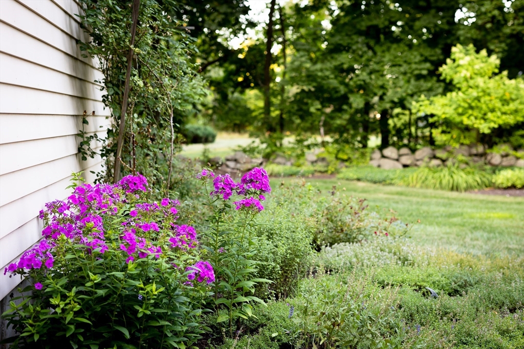 521 Barretts Mill Road Concord, MA 01742 - Photo 38 of 42