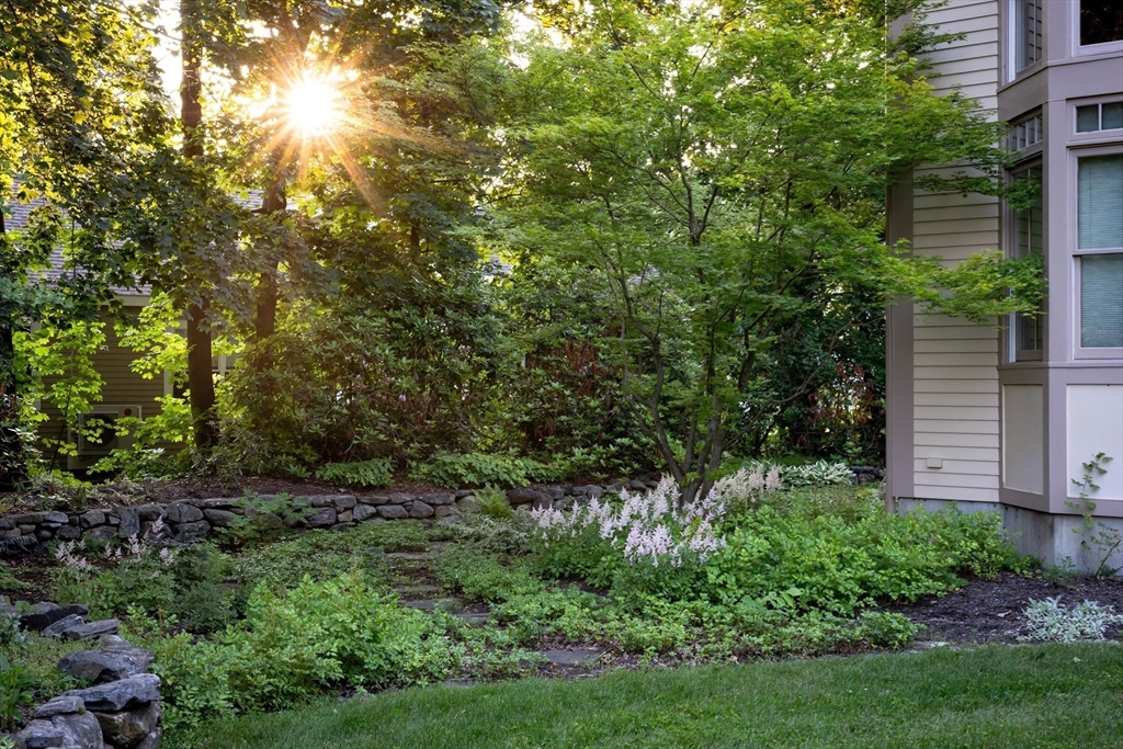 521 Barretts Mill Road Concord, MA 01742 - Photo 40 of 42