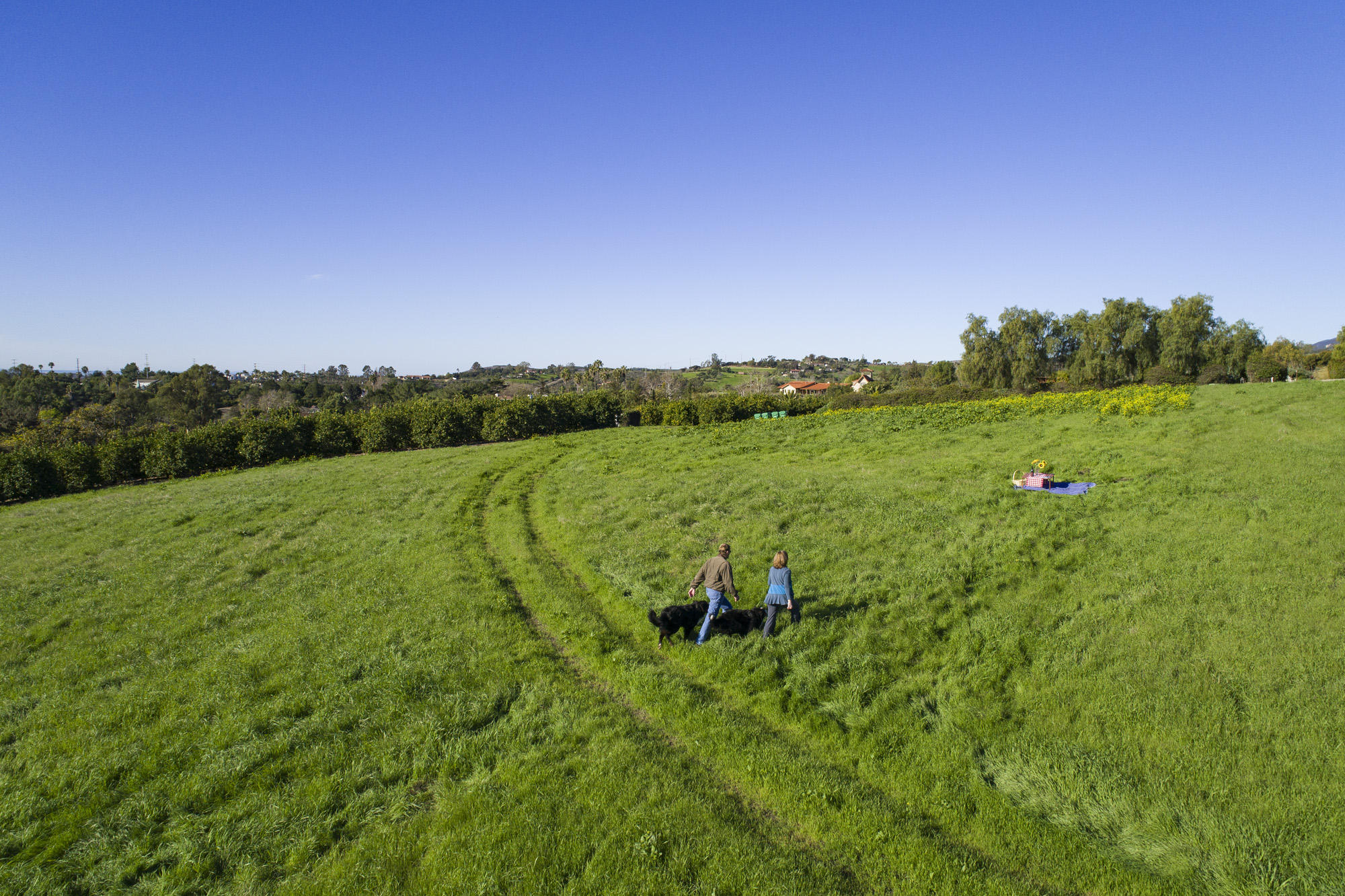 1140 Via Del Rey Goleta, CA 93111 - Photo 6 of 14 a view of a lush green outdoor space with a lake view